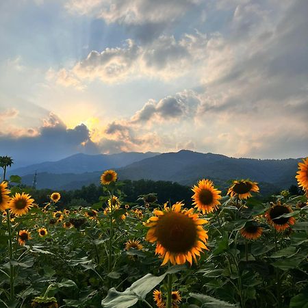 Locanda Alla Posta Cavaso Del Tomba Dış mekan fotoğraf